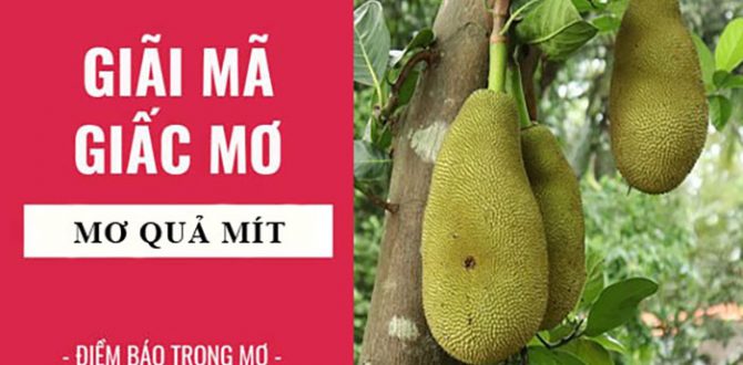 Mít là một loại trái cây có rất nhiều dinh dưỡng và đem lại hiệu quả kinh tế cao